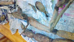 2015112016120.JPG