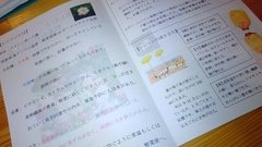 20151120162514.JPG